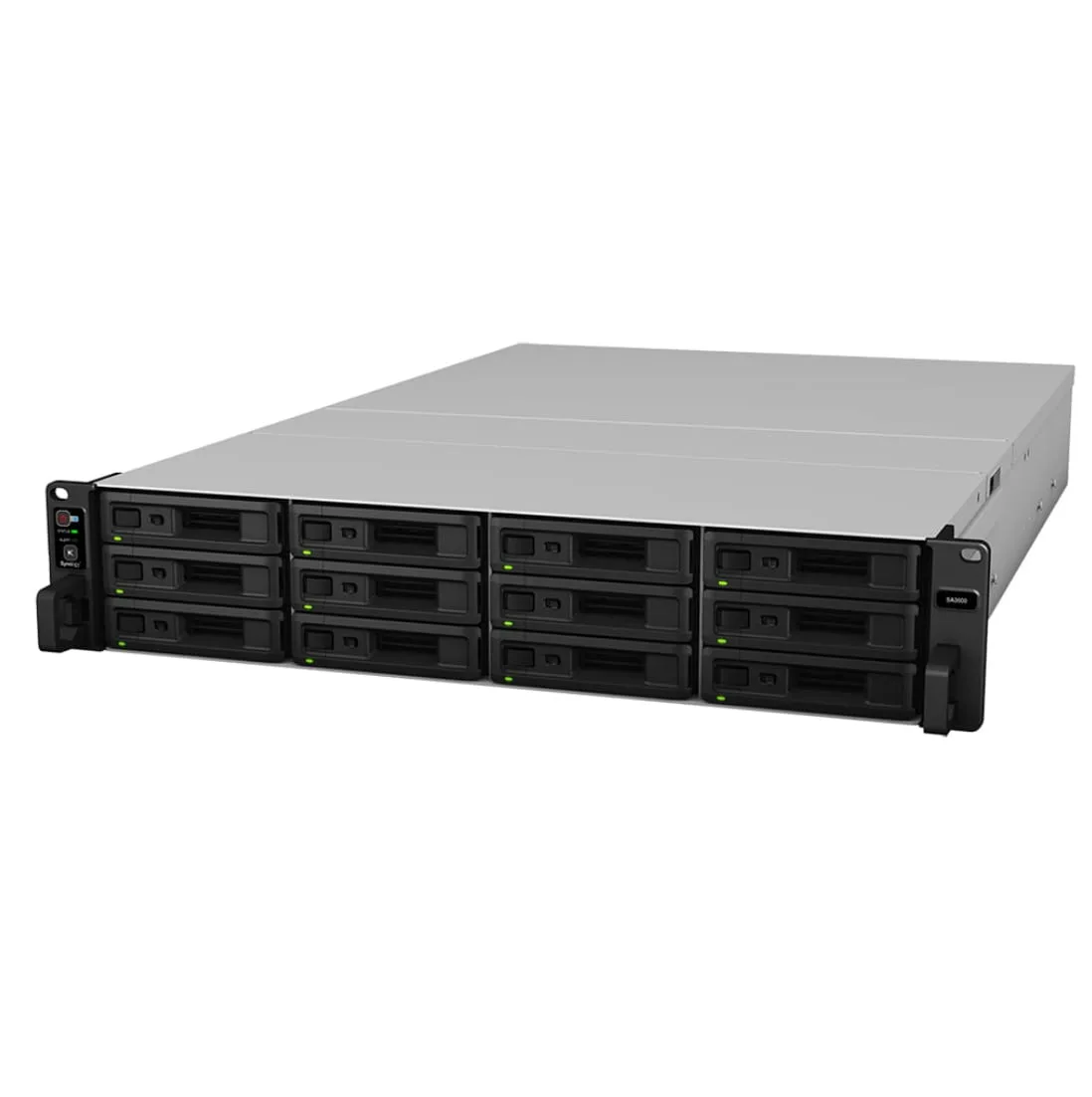 Synology RackStation RX1222SAS 12x LFF SAS/SATA